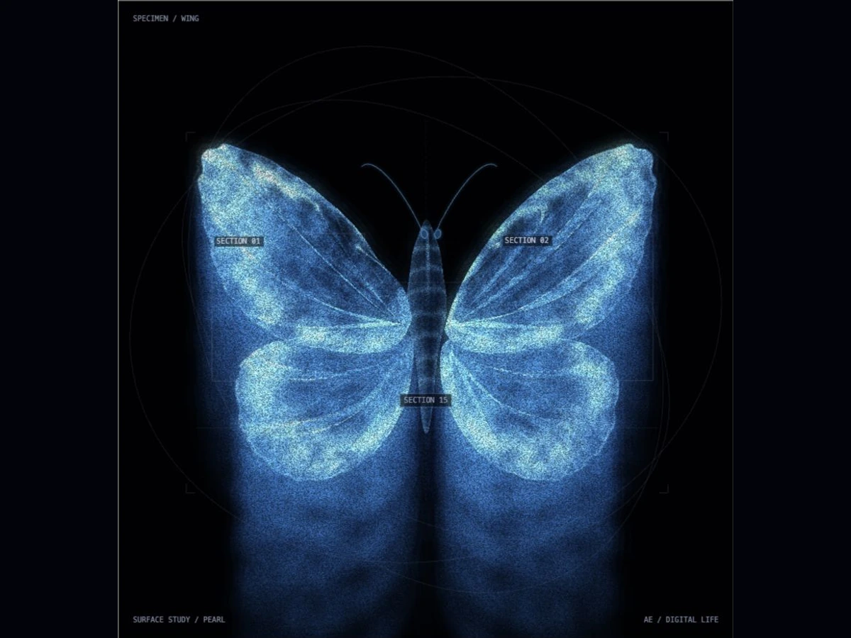 An original blue butterfly membrane with spectral highlights and scanning marks