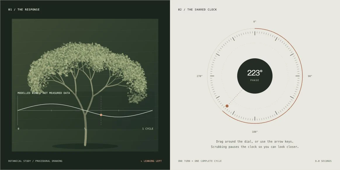 A botanical drawing and sine curve paired with a circular phase dial